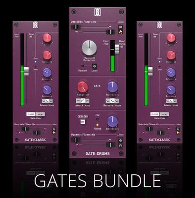 Slate Digital Gates Bundle