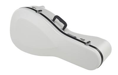 Shuster Renaissance Lute Case