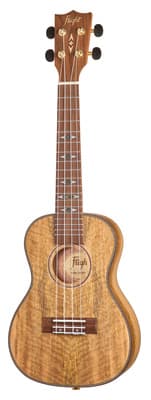 Flight DUC450 Mango Concert