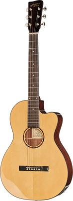 Recording King RP-G6-CFE5