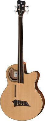 Warwick Alien Deluxe Hybrid 4 FL NT