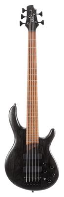 Cort B5 Element Open Pore Black