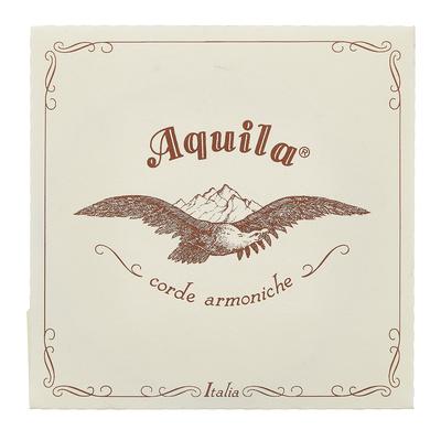 Aquila 175D Wound Nylgut Lute String