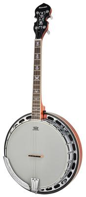 Richwood RMB-904-SS Tenor Banjo