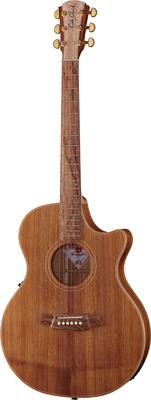 Cole Clark TL2EC-BLBL Thin line