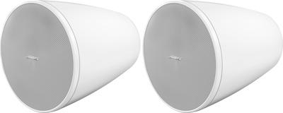 Bose Professional DesignMax DM5P white