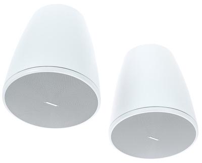 Bose Professional DesignMax DM6PE white