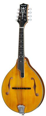 Richwood RMA-110-VS A-Style