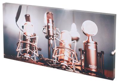 t.akustik Print Panel Shiny Mics