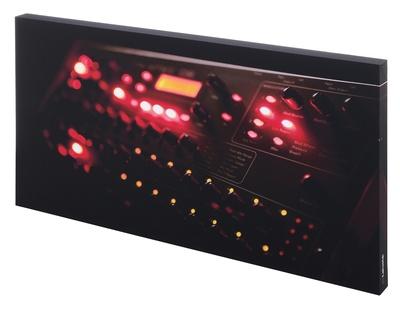 t.akustik Print Panel The Prophe B-Stock