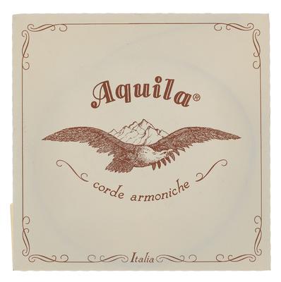 Aquila 195D Wound Nylgut Lute String