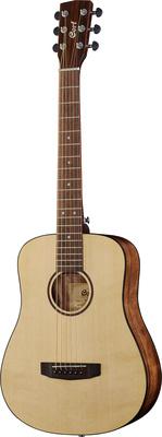 Cort Earth Mini