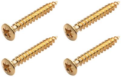 Warwick Screws Bolt-On Necks/Gurt Gold