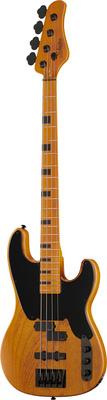 Schecter Model-T Session-4 ANS