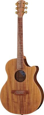 Cole Clark AN2EC-BLBL Angel