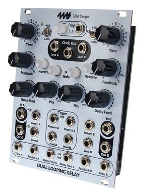 4ms Dual Looping Delay