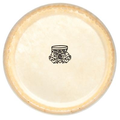 Thomann 7" Bongo kangaroo head"