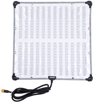 Amaran F22c (EU)