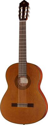 Yamaha CGX 122 MC