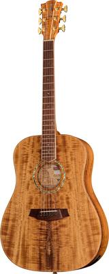 Cole Clark FLMGE-BLBL-AE Mastergrade