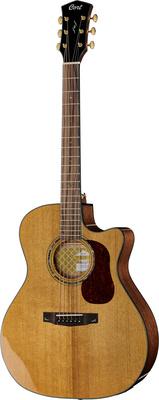 Cort Gold A6