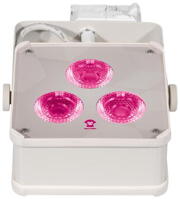 Ape Labs Track Maxi V2 15° RGBNW Creme