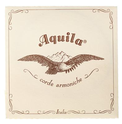 Aquila 120D Wound Nylgut Lute String
