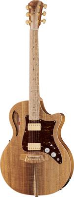 Cole Clark TL2EC-BLBL-HH Thin Line