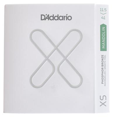 Daddario XSM11541