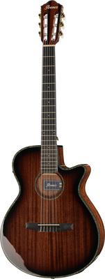 Ibanez AEG74N-MHS