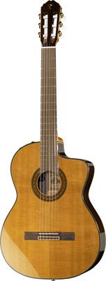 Takamine EC132SC w/Softcase