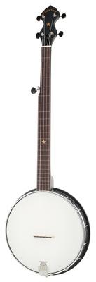 Gold Tone AC-1FL Open Back Fretless