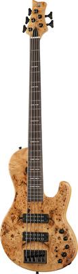Marcus Miller F10-5 NT