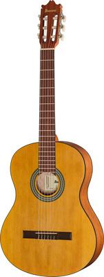 Ibanez GA3-OAM