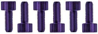 Floyd Rose Saddle Mounting Screws Purple