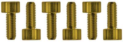 Floyd Rose Saddle Mounting Screws Gold