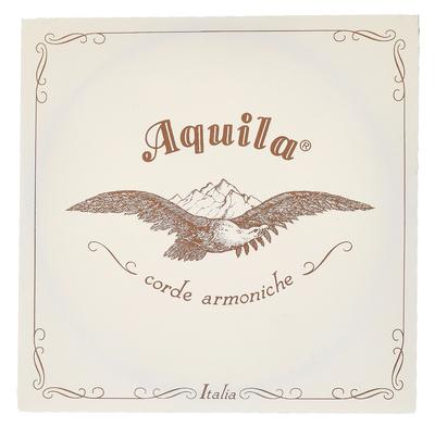 Aquila 108D140 Wound NG Lute String
