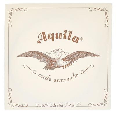 Aquila 160D140 Wound NG Lute String