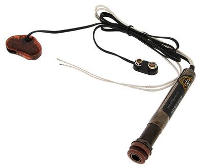 L.R.Baggs EAS SS Set