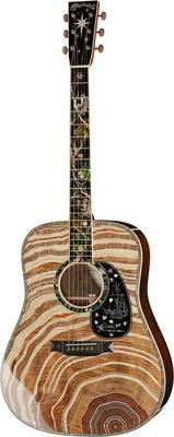 Martin Guitar D-300