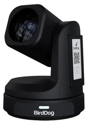 BirdDog Max Black