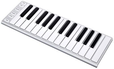 ESI Xkey 25