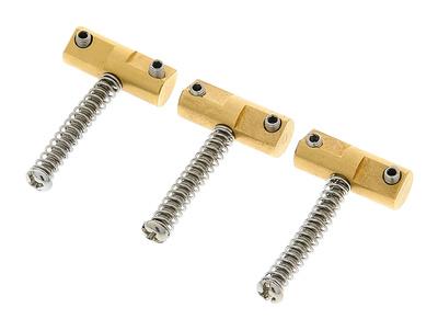 Guitar Monkey EvoComp Brass Tele Set