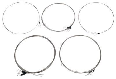 Svaram Svaraveena Strings Set