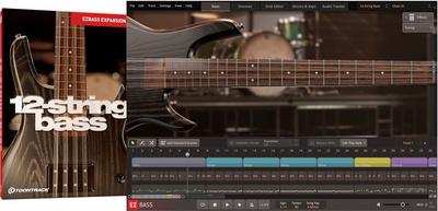 Toontrack EBX 12-String Bass