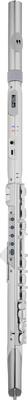 Roland Aerophone AE-Brisa