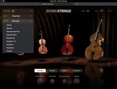 AIR Music Technology Studio Strings
