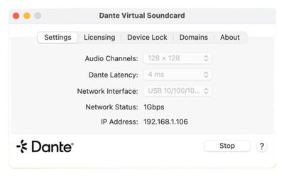 Dante DVS Pro One-Year