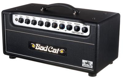 Bad Cat Mod Shop Hot Cat 50 Head
