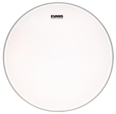 Evans 22" UV2 Coated Bass"